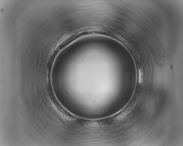 X0000057090253200509120926