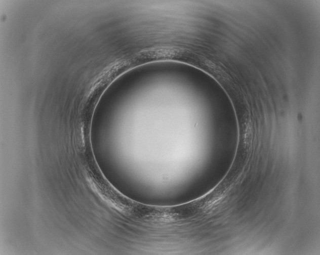 X0000057090254200509120926