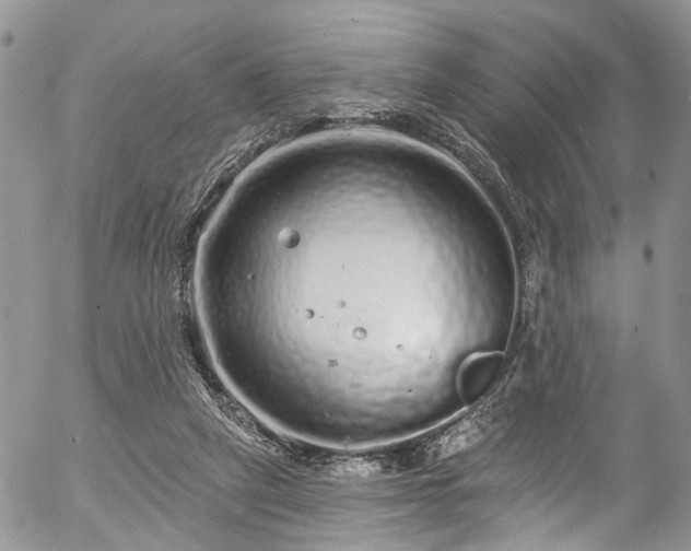 X0000057090257200509120926