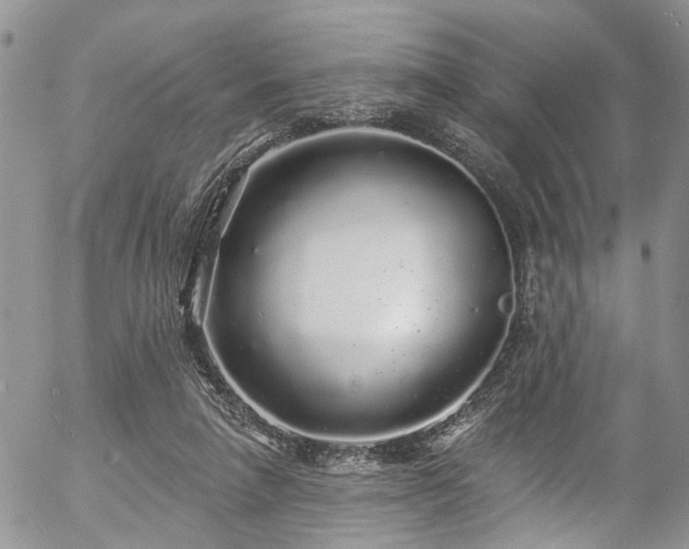 X0000057090258200509120926