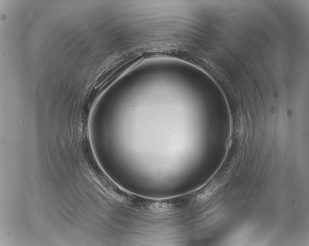 X0000057090261200509120926