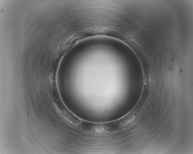 X0000057090264200509120926