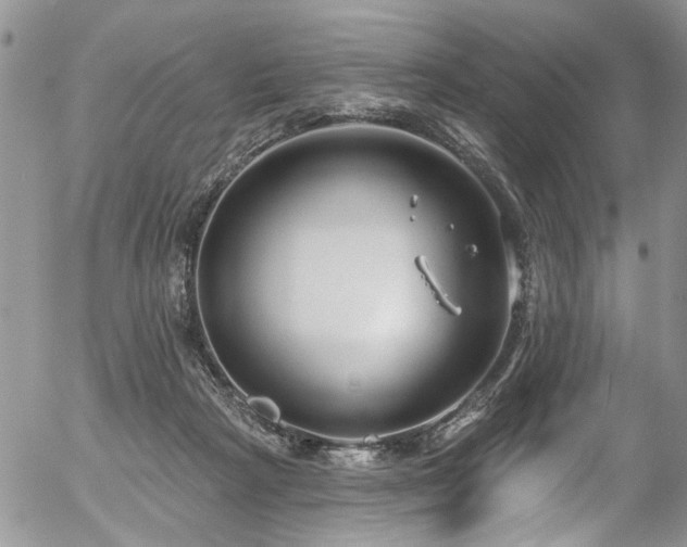 X0000057090265200509120926