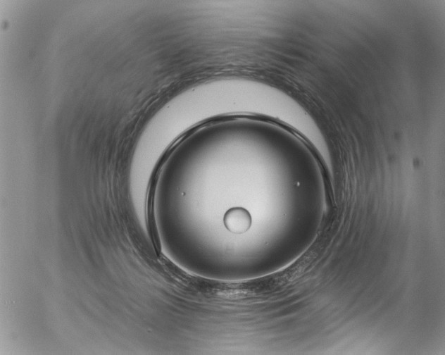 X0000057090268200509120926