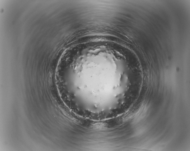 X0000057090269200509120926