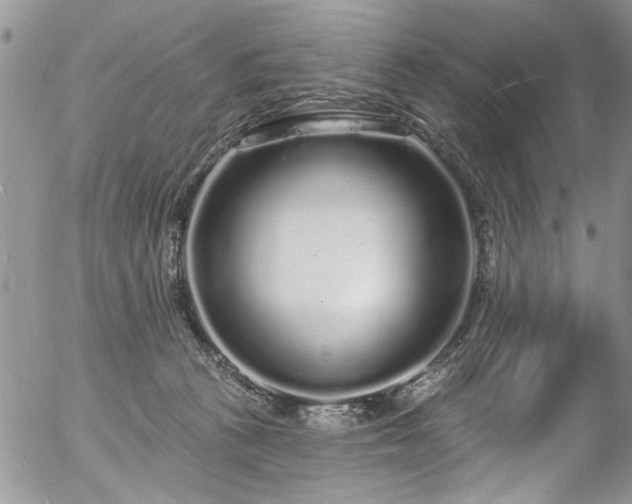 X0000057090273200509120926