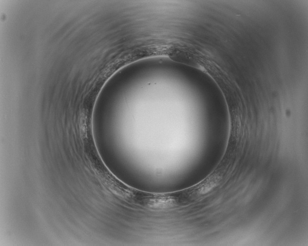 X0000057090274200509120926