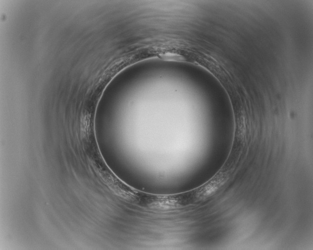 X0000057090278200509120927