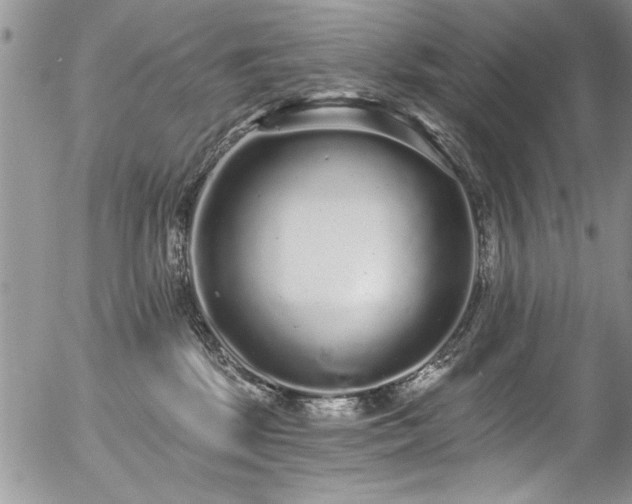 X0000057090281200509120927