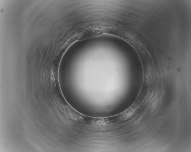 X0000057090282200509120927