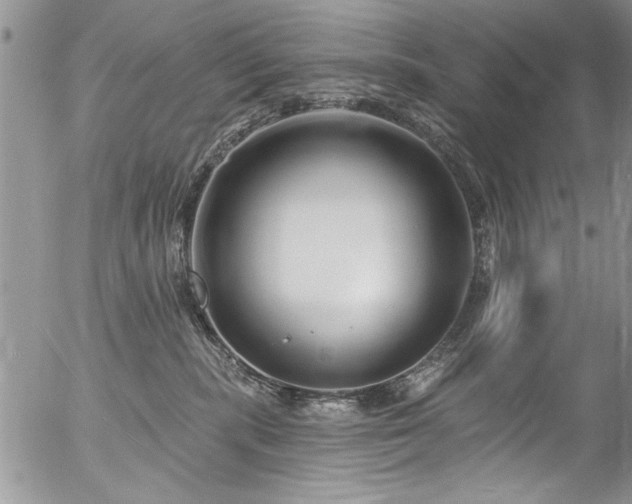 X0000057090283200509120927