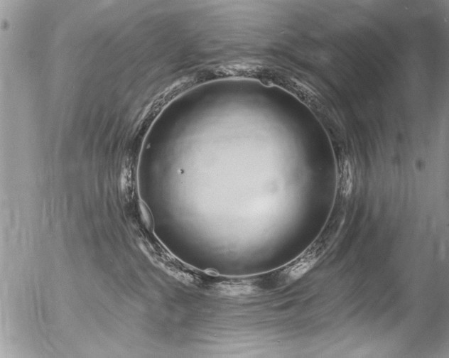 X0000057090284200509120927