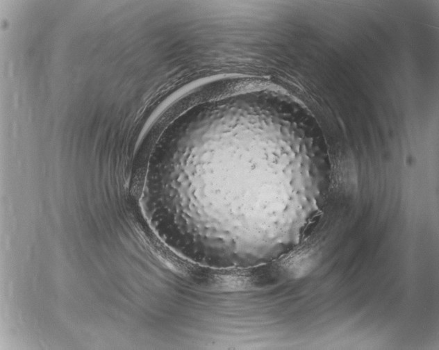 X0000057090286200509120927