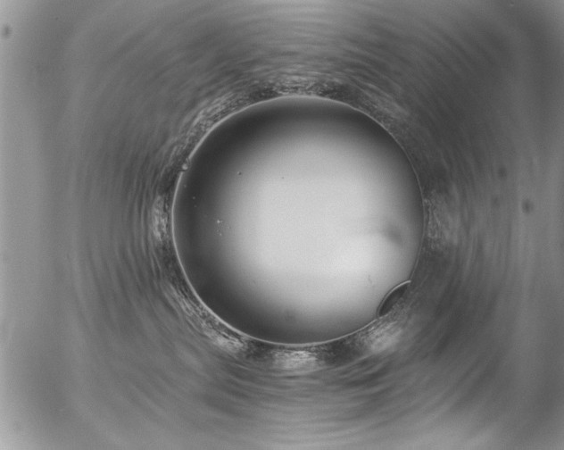 X0000057090287200509120927