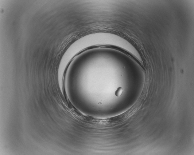 X0000057090288200509120927