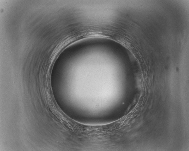 X0000057090289200509120926