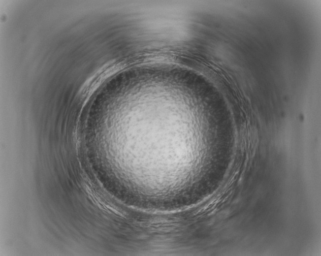 X0000057090290200509120926