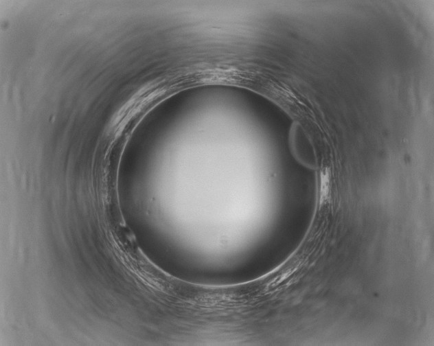 X0000057090291200509120926