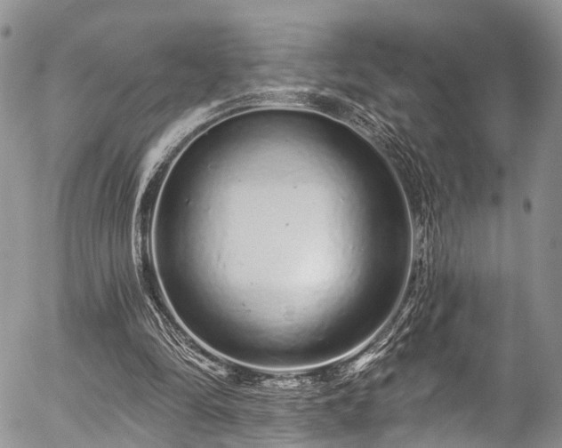 X0000057090294200509120926