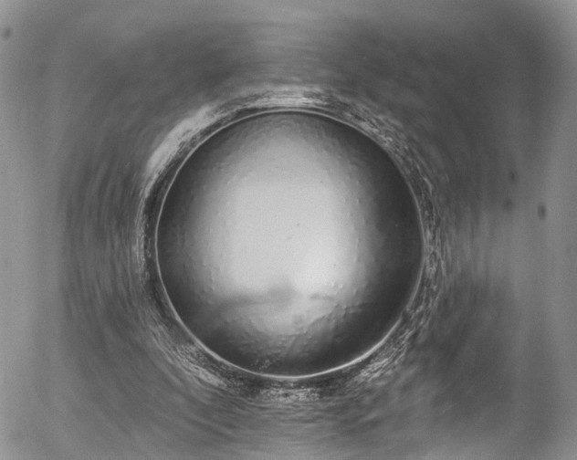 X0000057090296200509120926