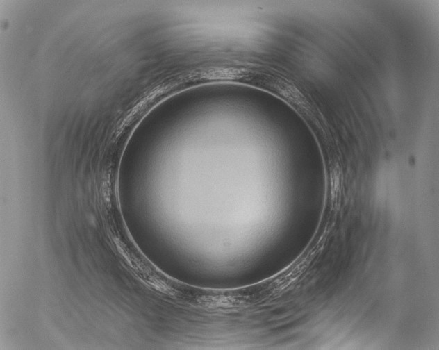 X0000057090297200509120926