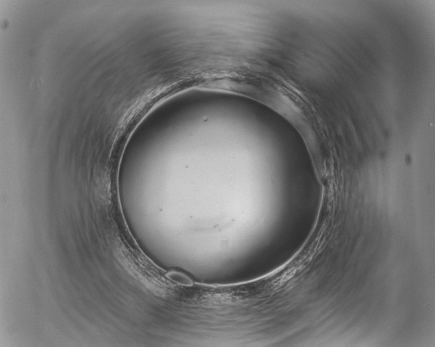 X0000057090298200509120926