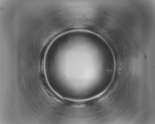 X0000057090299200509120926