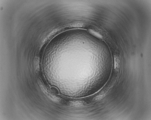 X0000057090300200509120926