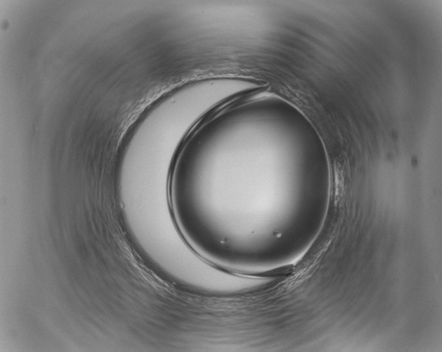 X0000057090301200509120926