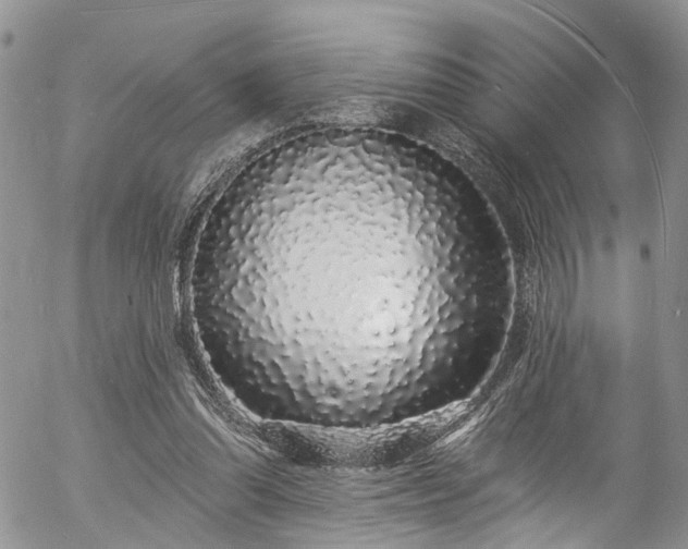 X0000057090302200509120926