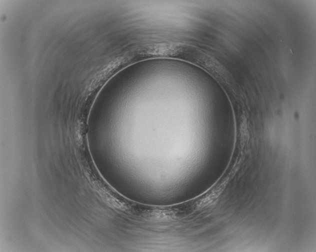 X0000057090305200509120926