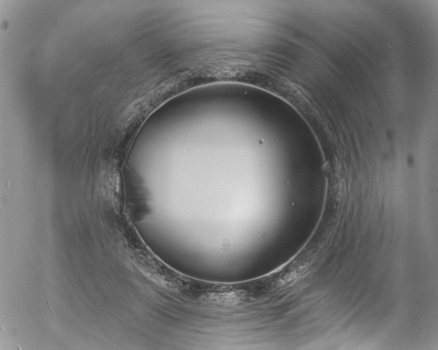 X0000057090307200509120926