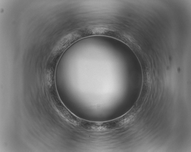 X0000057090311200509120926