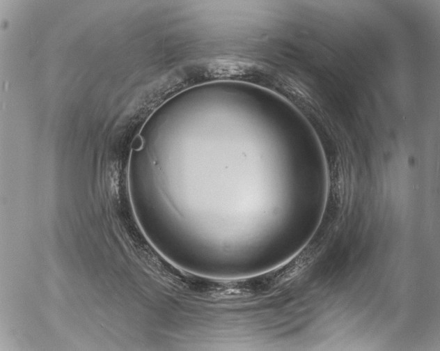 X0000057090315200509120926