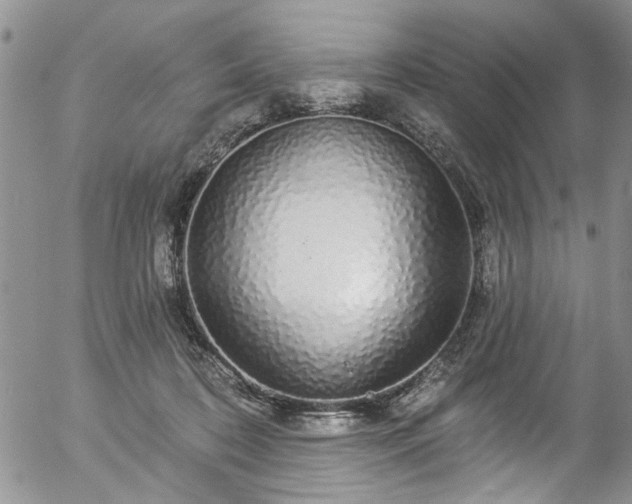 X0000057090316200509120925