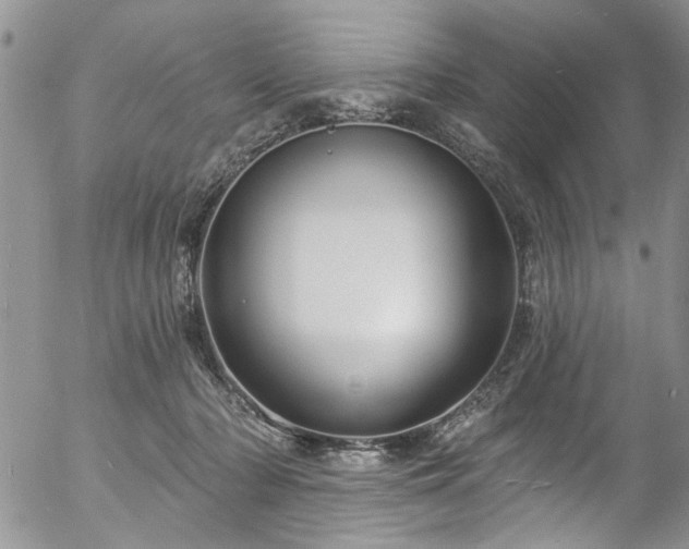 X0000057090318200509120925