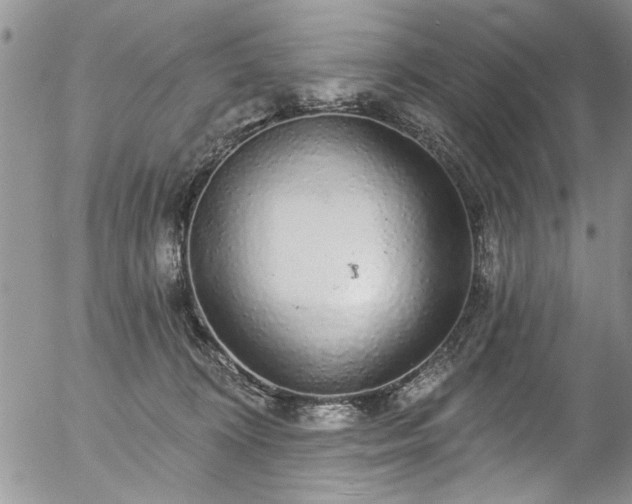 X0000057090324200509120925