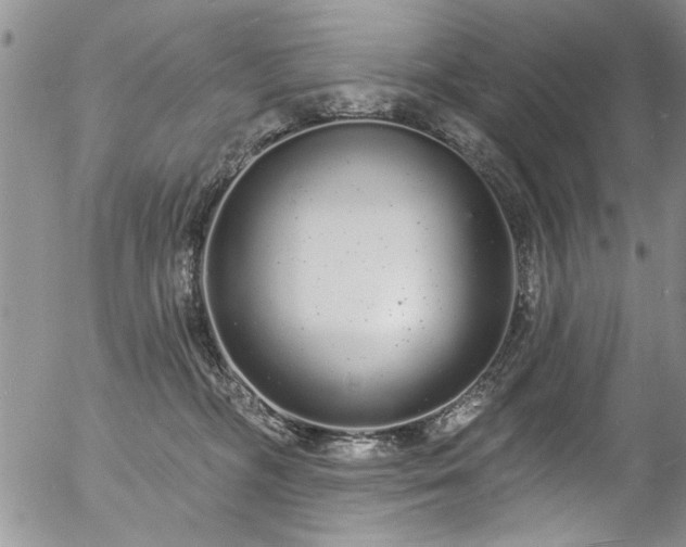 X0000057090326200509120925