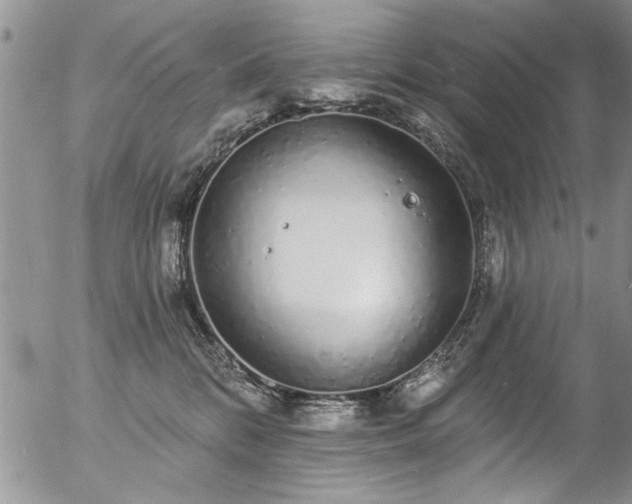 X0000057090328200509120925