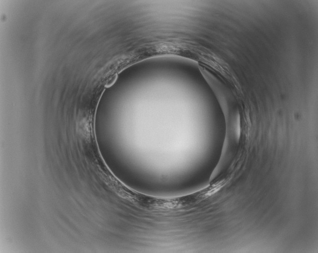 X0000057090329200509120925