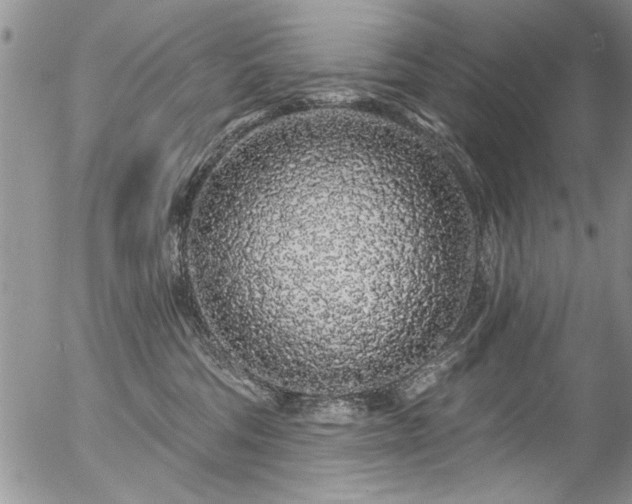 X0000057090330200509120925