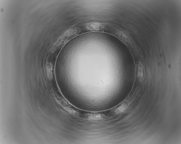 X0000057090332200509120925