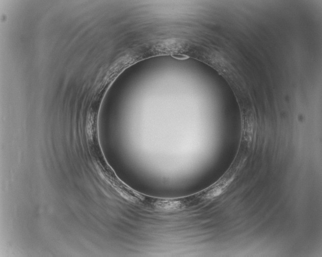 X0000057090334200509120925