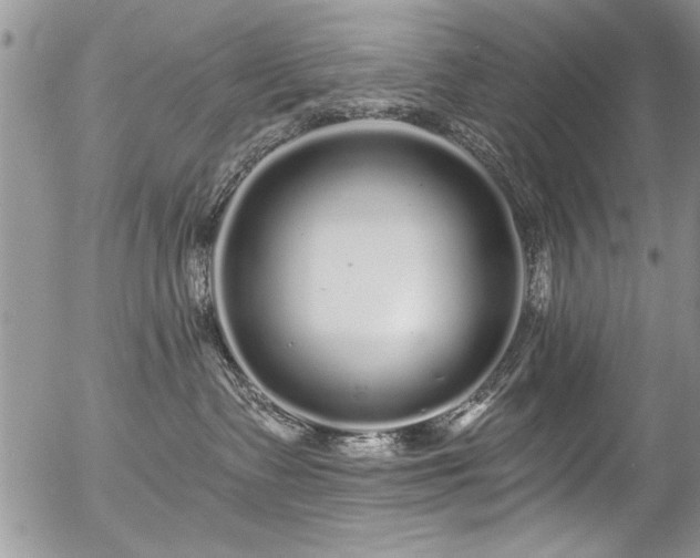 X0000057090335200509120925