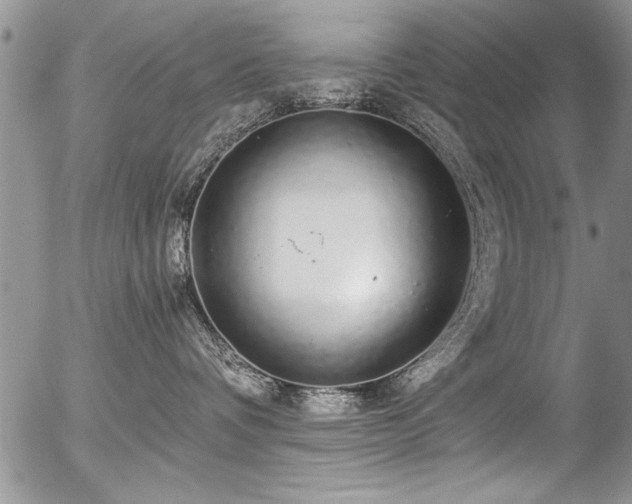 X0000057090336200509120925