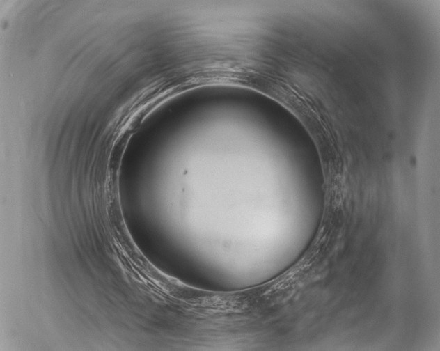 X0000057090338200509120924