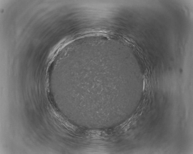 X0000057090339200509120924