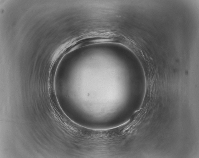 X0000057090340200509120924