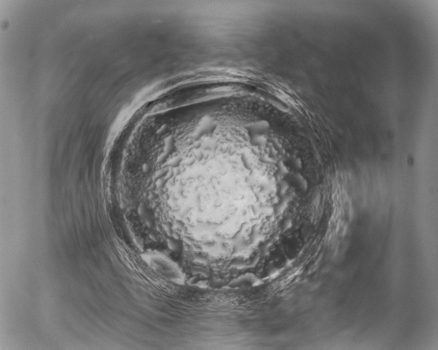 X0000057090343200509120924