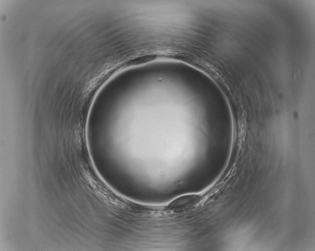 X0000057090345200509120925